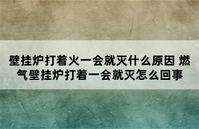 壁挂炉打着火一会就灭什么原因 燃气壁挂炉打着一会就灭怎么回事